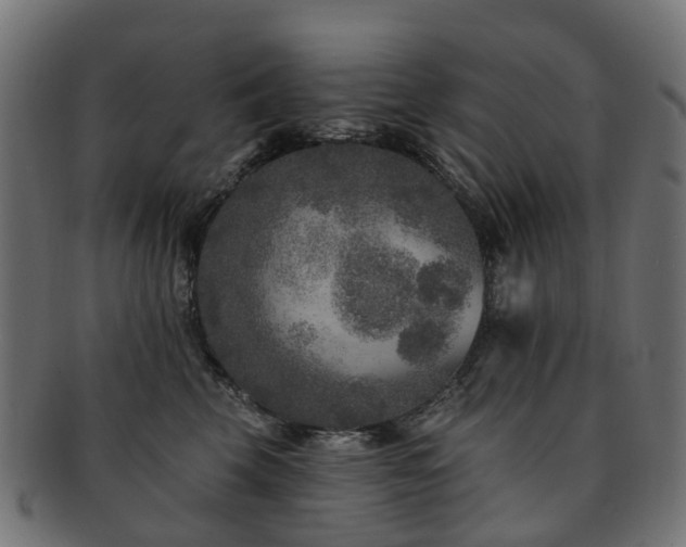 X0000092320569200709141415