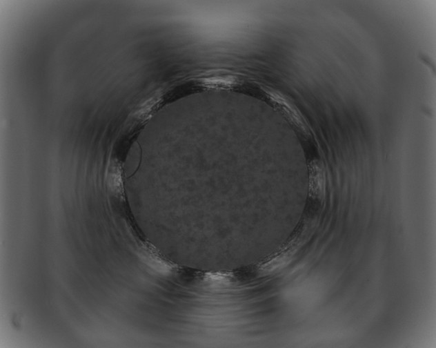 X0000092320573200709141415