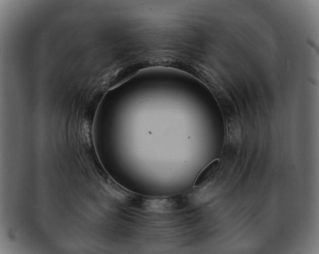 X0000092320575200709141415