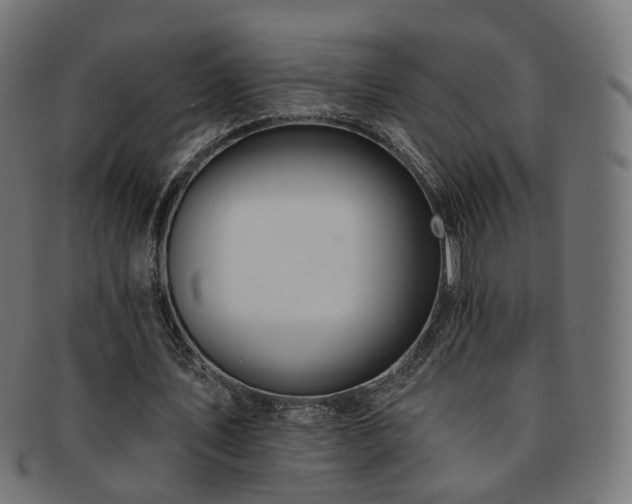 X0000092320579200709141415