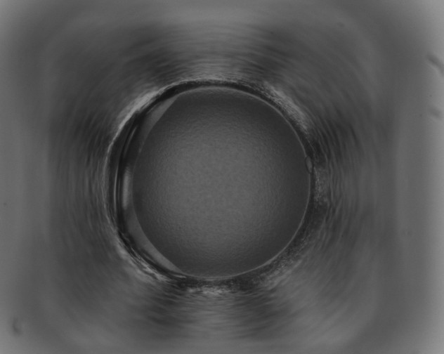 X0000092320580200709141415