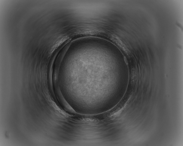 X0000092320585200709141415