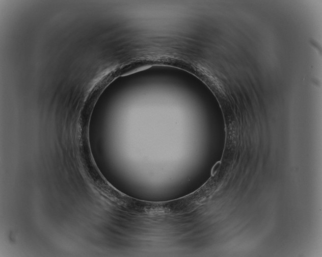 X0000092320587200709141415