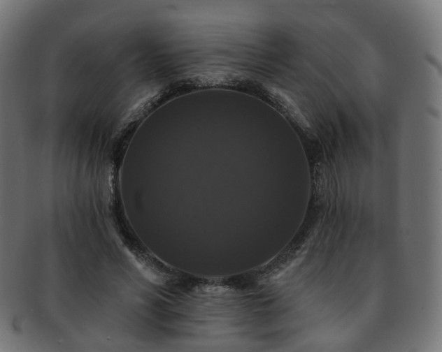 X0000092320590200709141415