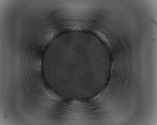 X0000092320596200709141414