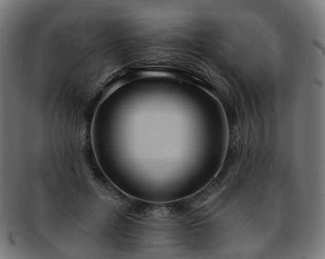 X0000092320600200709141414