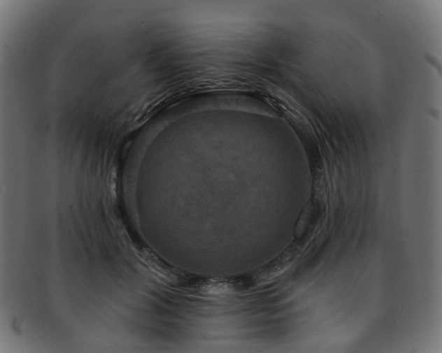 X0000092320604200709141414