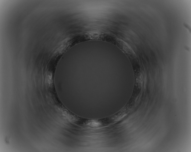 X0000092320610200709141414