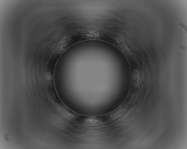 X0000092320614200709141414