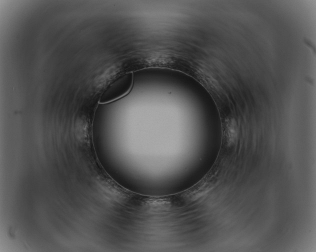 X0000092320619200709141414