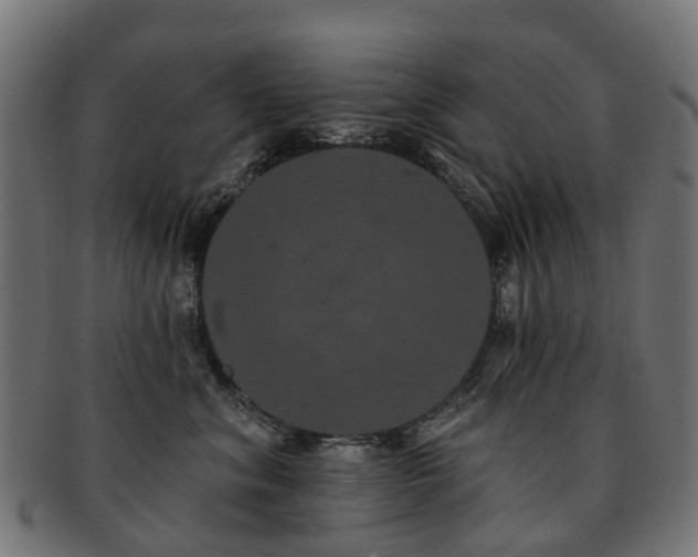 X0000092320620200709141414