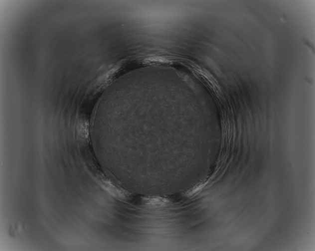 X0000092320621200709141414