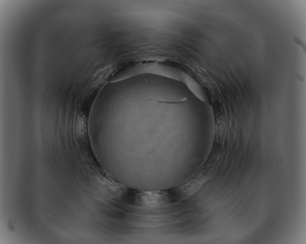X0000092320623200709141414