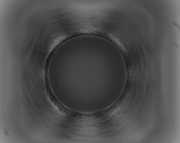 X0000092320626200709141414