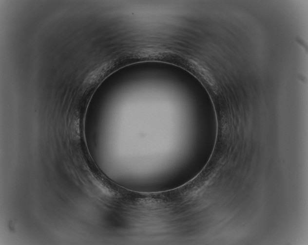 X0000092320633200709141414