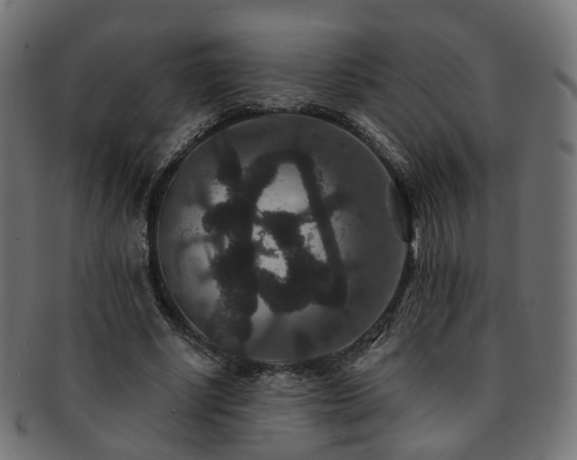 X0000092320634200709141414