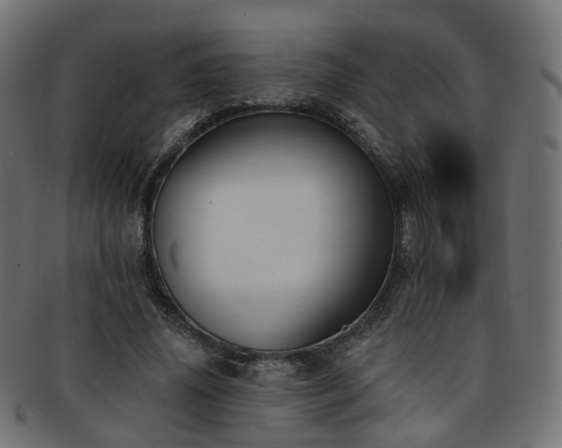X0000092320636200709141414