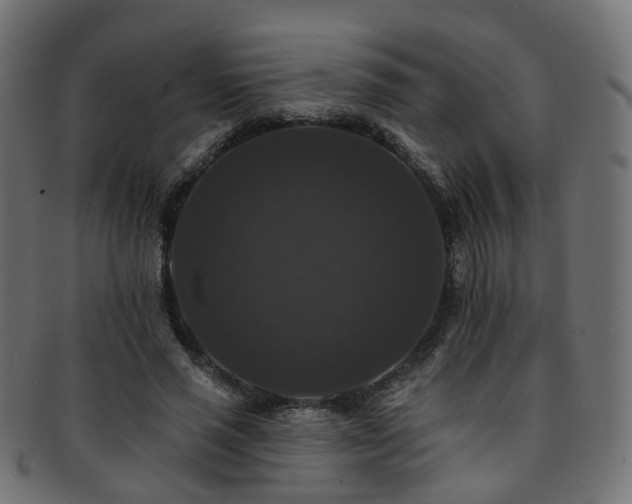 X0000092320637200709141414