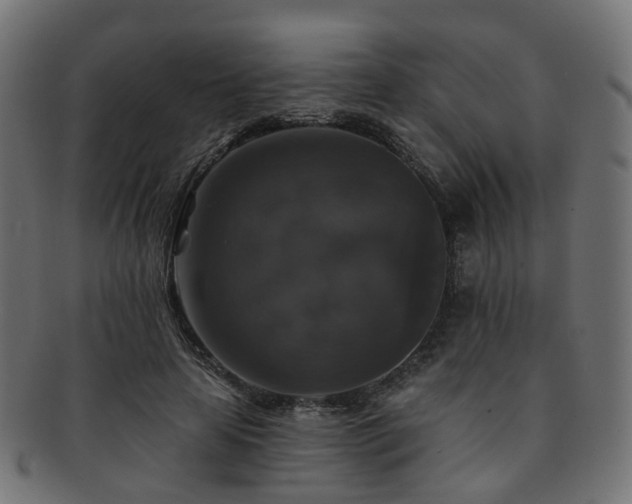 X0000092320641200709141414