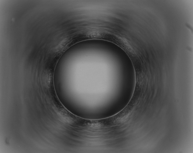 X0000092320645200709141414