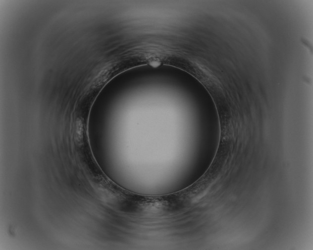 X0000092320646200709141414