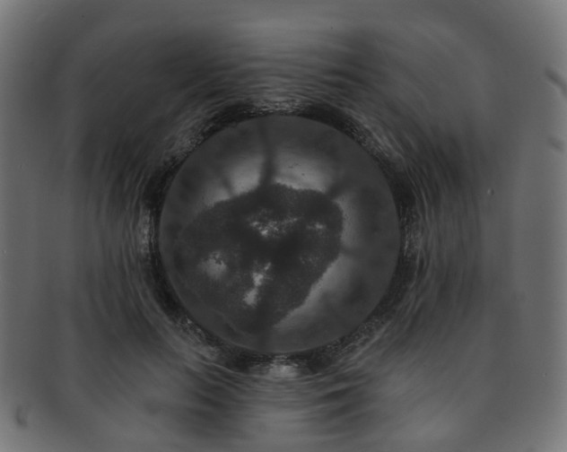 X0000092320647200709141414