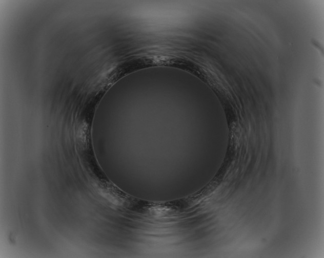 X0000092320650200709141414