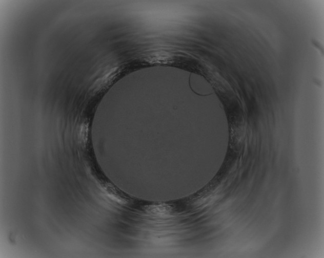 X0000092320652200709141414
