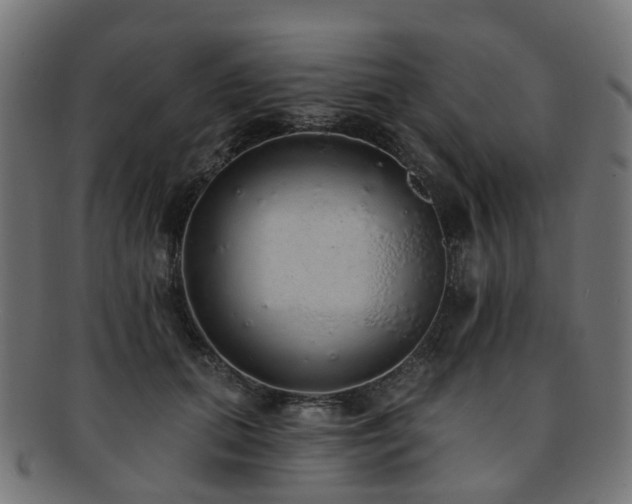X0000092320655200709141414