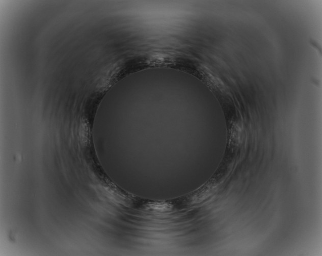 X0000092320659200709141414