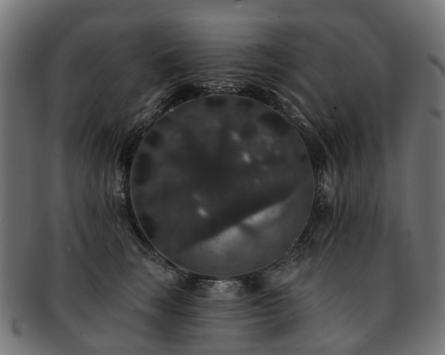 X0000092320663200709141414