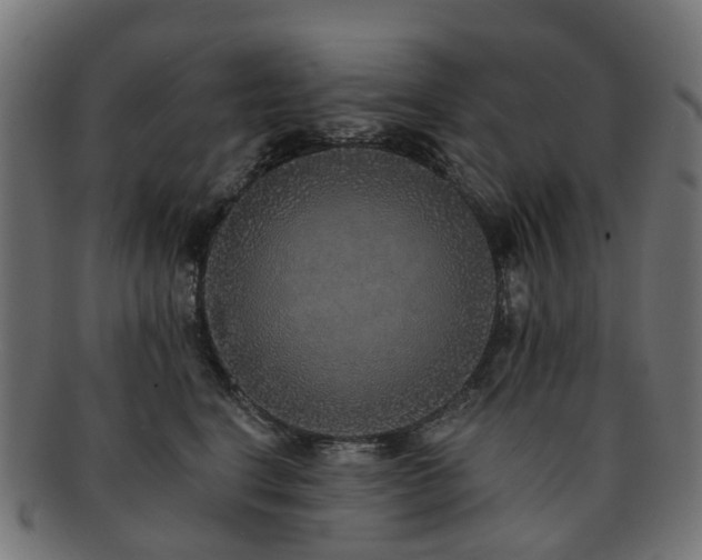 X0000092320664200709141414