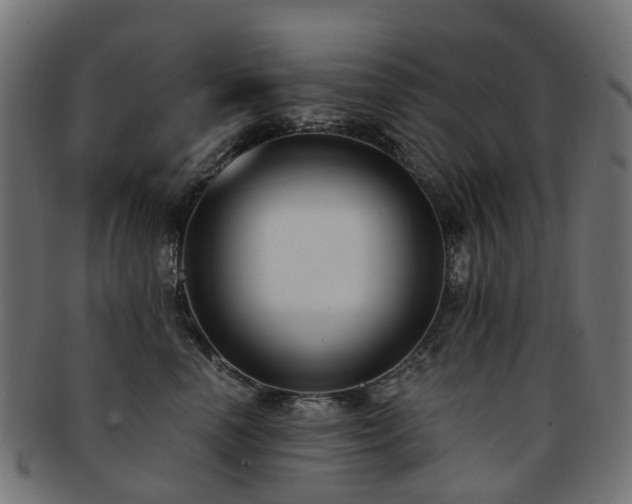 X0000092320666200709141414