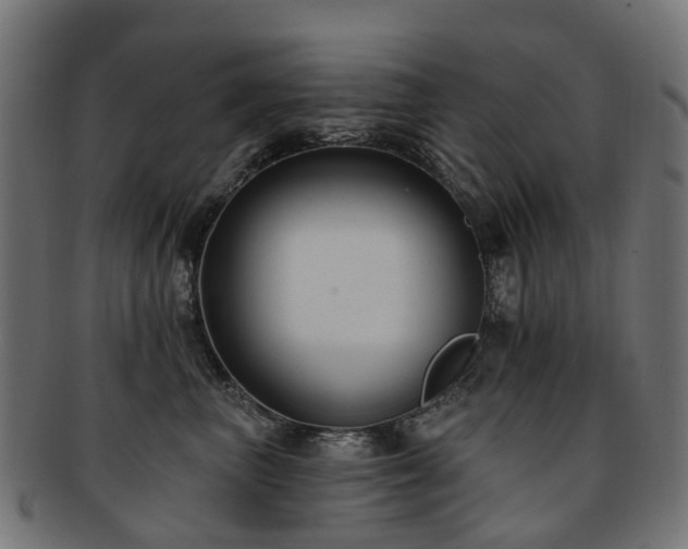 X0000092320667200709141414