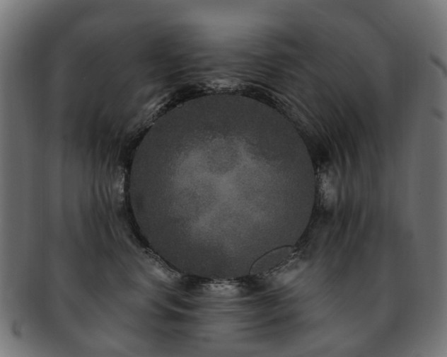 X0000092320668200709141414