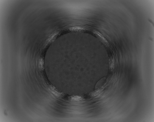 X0000092320669200709141414
