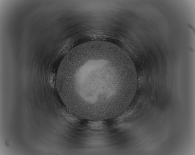 X0000092320671200709141414