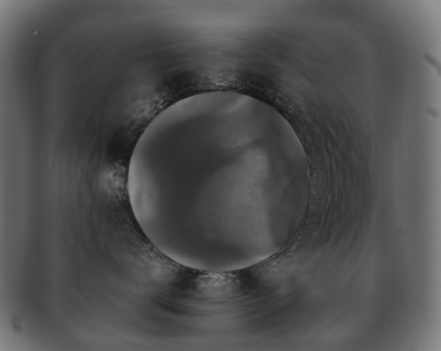 X0000092320672200709141414