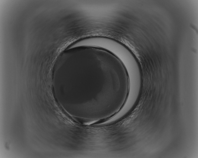 X0000092320673200709141414