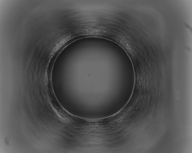 X0000092320674200709141414