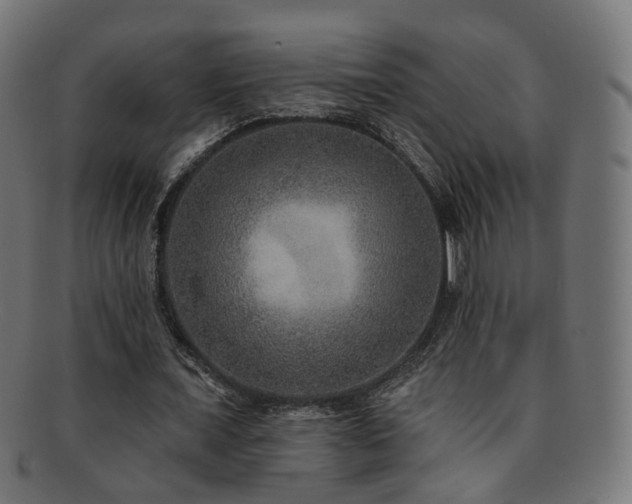 X0000092320675200709141414