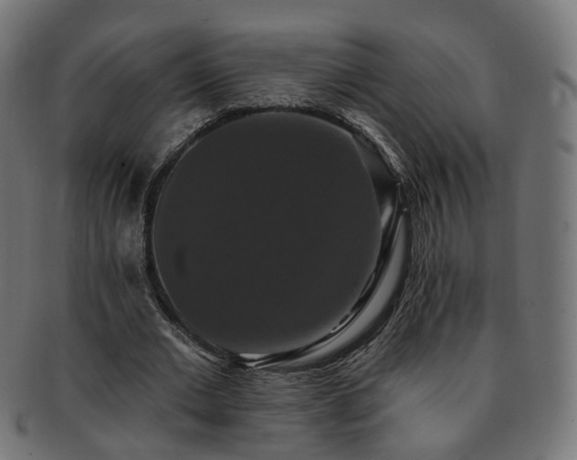 X0000092320677200709141413