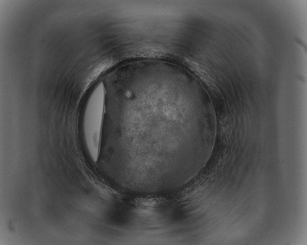X0000092320679200709141413