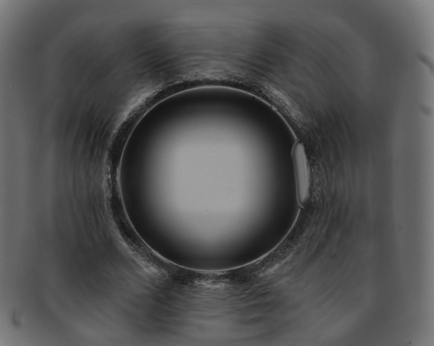 X0000092320680200709141413