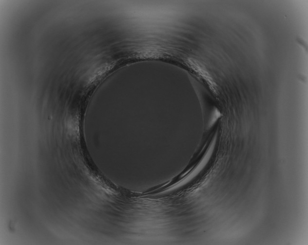 X0000092320681200709141413