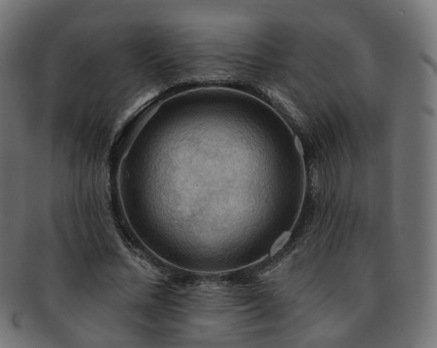 X0000092320684200709141413