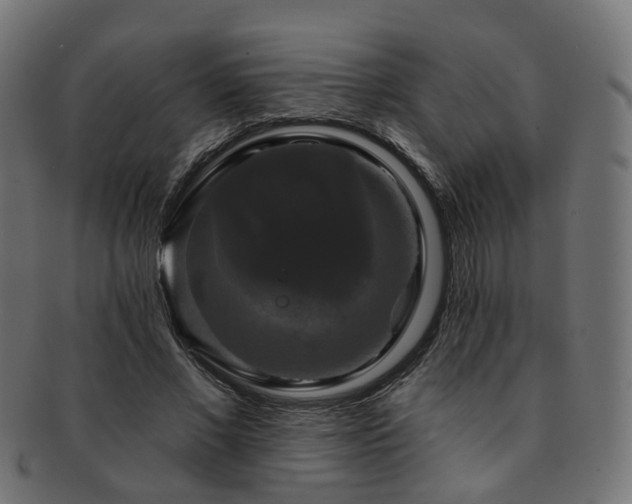 X0000092320685200709141413