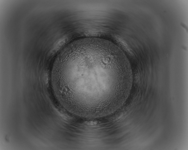 X0000092320687200709141413