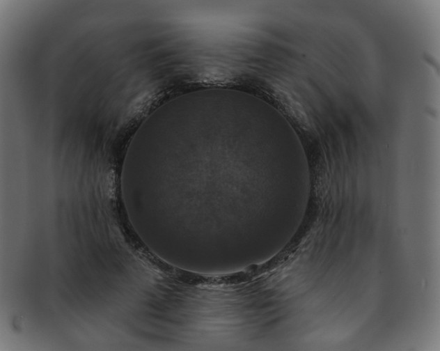X0000092320689200709141413