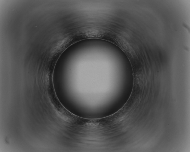 X0000092320690200709141413